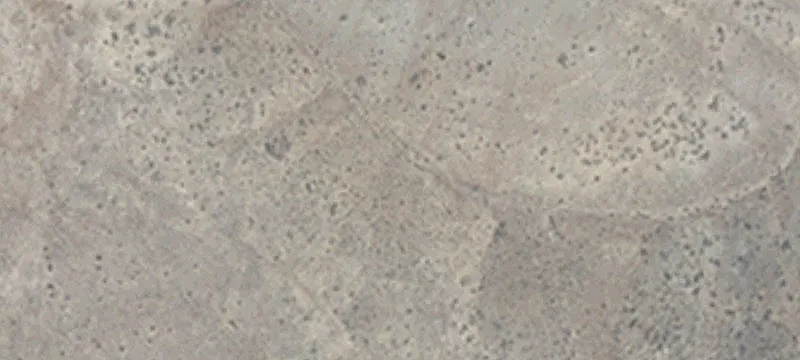 Lovelock, NV 89419