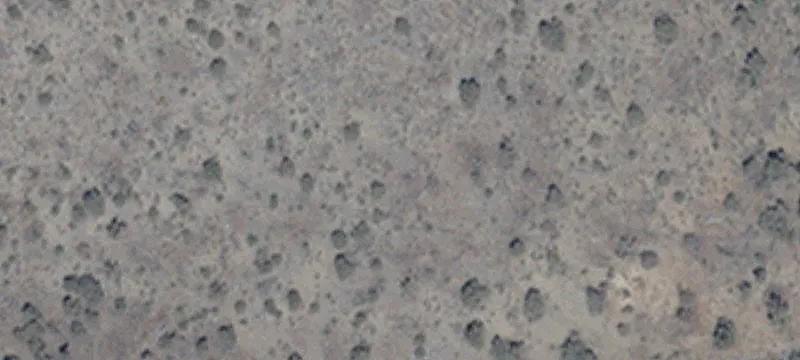 Fallon, NV 89406