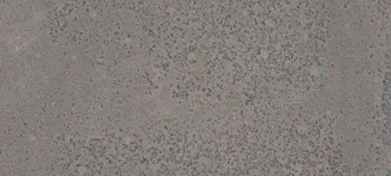 Caliente, NV 89008