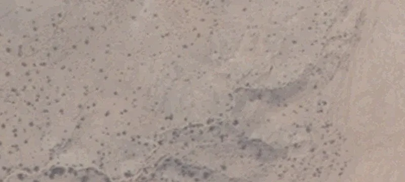 Mesquite, NV 89027