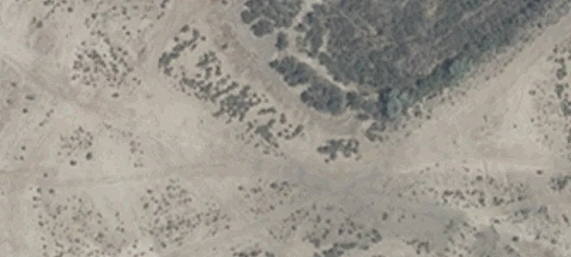 State Rte 305