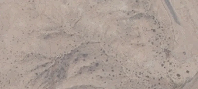 Mesquite, NV 89027