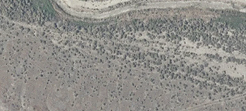 Lovelock, NV 89419