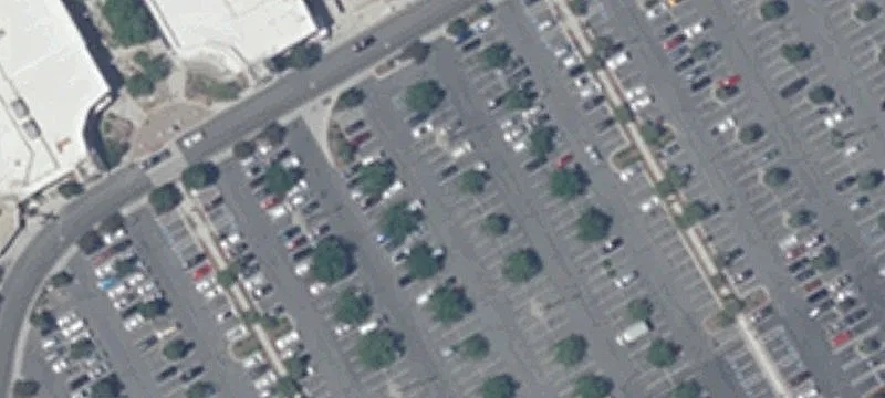 Scheels Dr