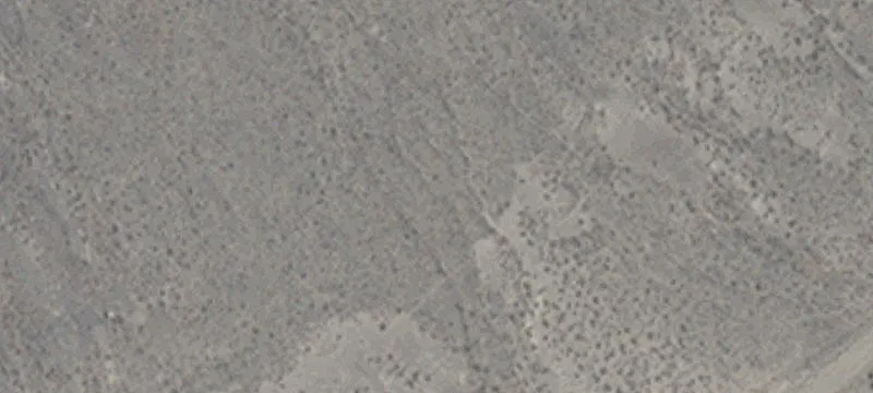 Lovelock, NV 89419