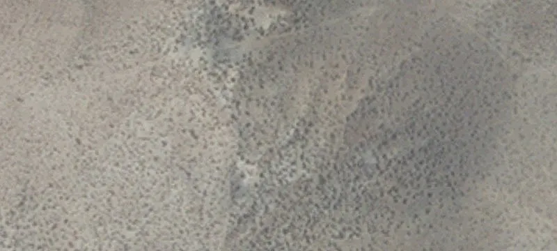 Yerington, NV 89447