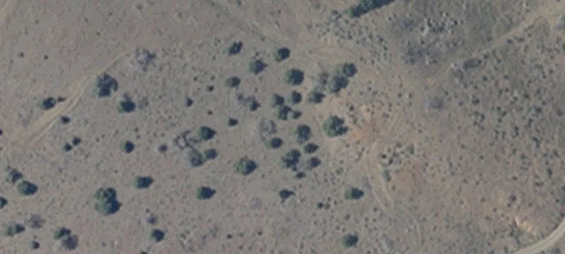 Mound House, NV 89706