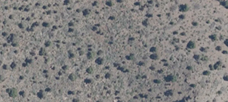 Dayton, NV 89403