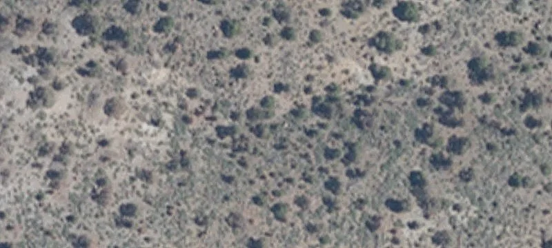 Dayton, NV 89403