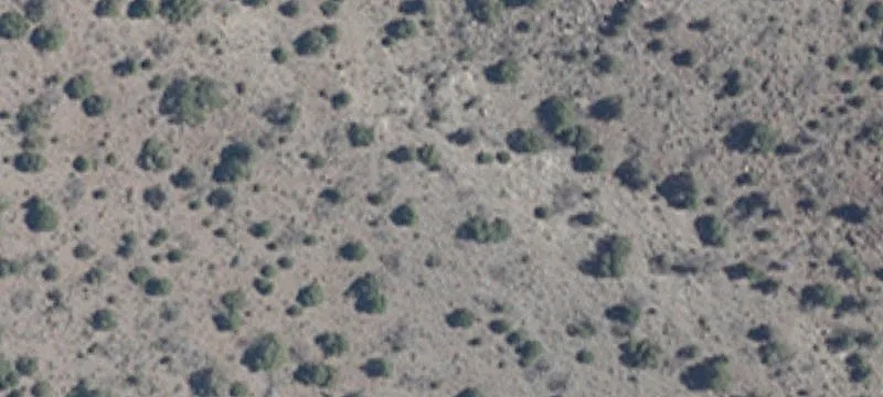 Dayton, NV 89403