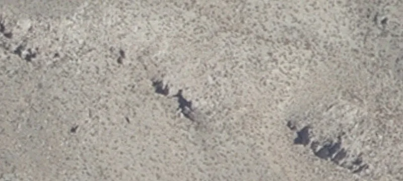 Yerington, NV 89447