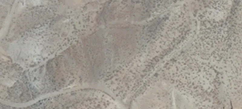 Yerington, NV 89447