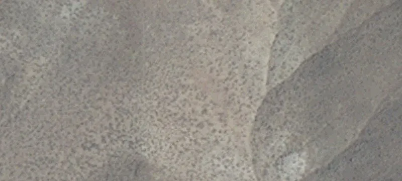Yerington, NV 89447