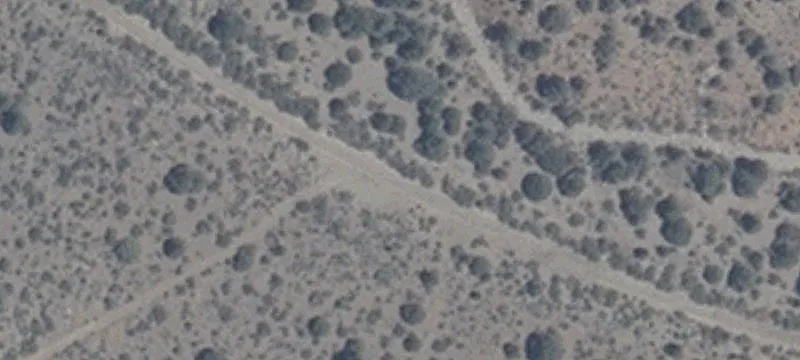 Wellington, NV 89444