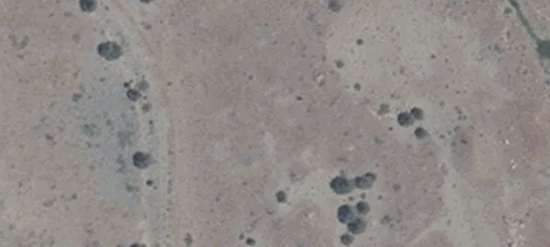 2000 Us Hwy 395th S