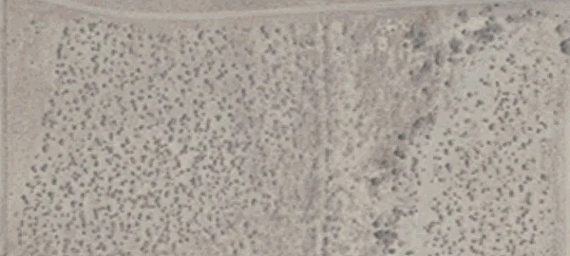 4035 Veterans Memorial Hwy