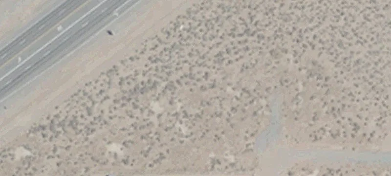 Dayton, NV 89403