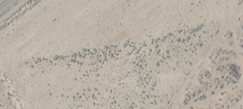 Dayton, NV 89403