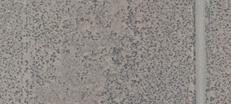 5 Acciari Rd