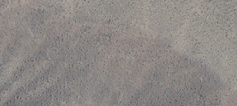 Fernley, NV 89408