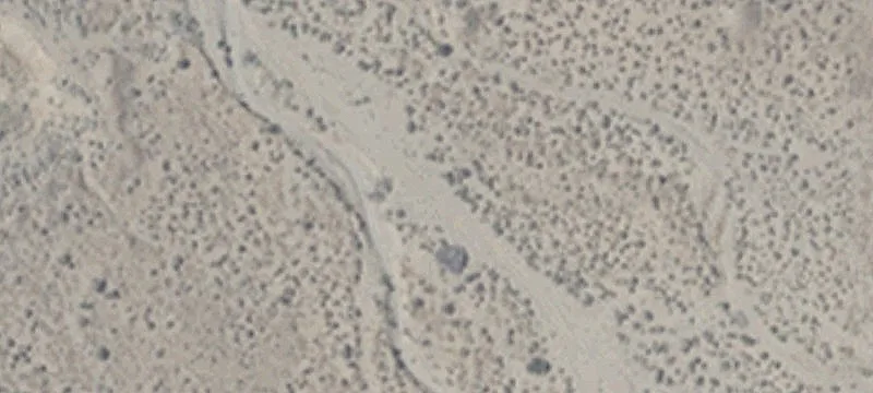 Dayton, NV 89403