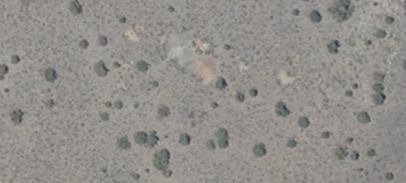 Minden, NV 89423