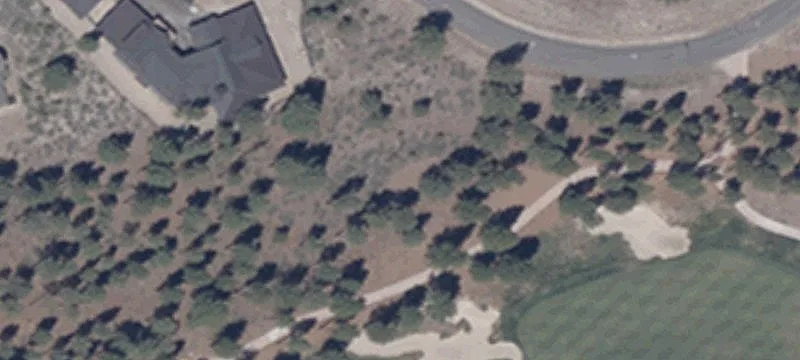Carson City, NV 89705