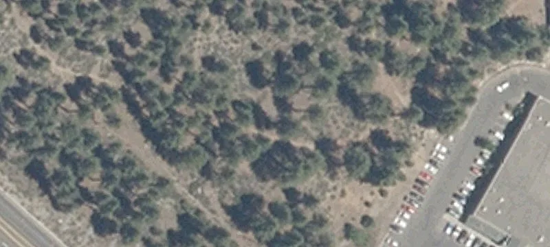 209 Hwy 50