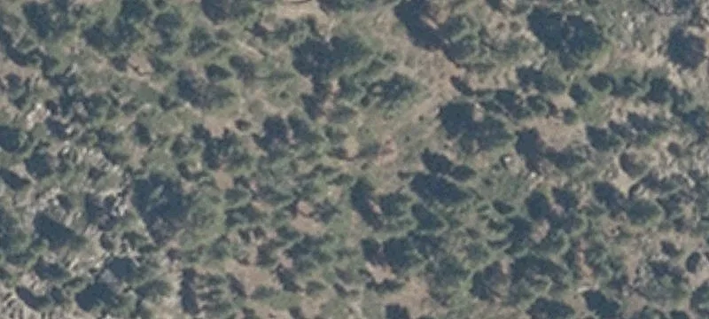 Hwy 50