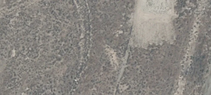 Wells, NV 89835