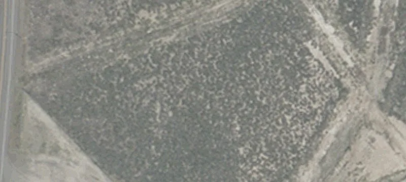 Wells, NV 89835