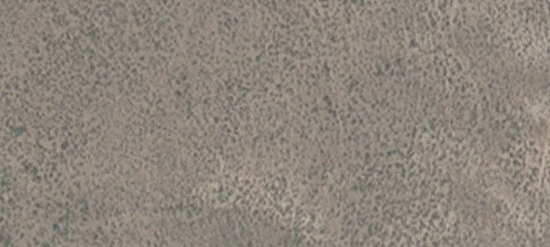Elko, NV 89801