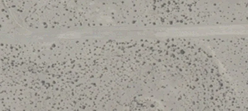 Schurz, NV 89427