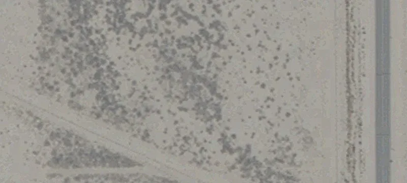 1 Bonanzat8n-r30e-s