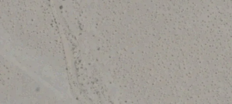 Hawthorne, NV 89415