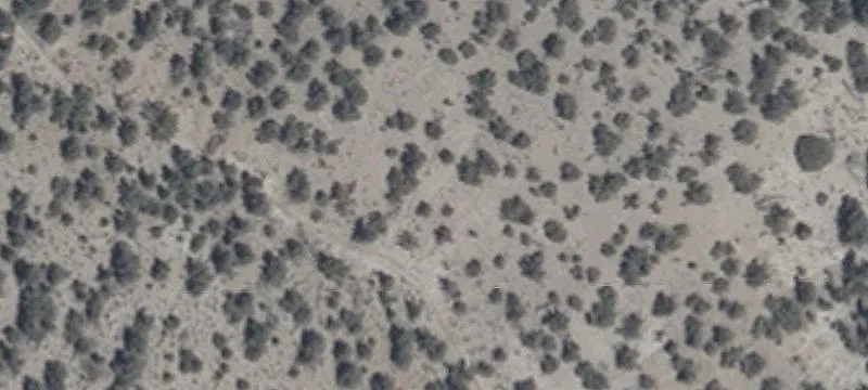 Hawthorne, NV 89415