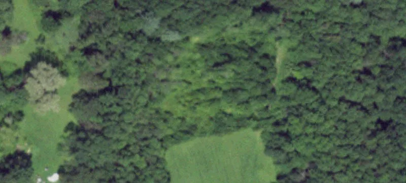 1280 State Rte 49