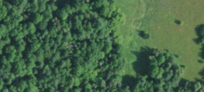 3892 State Rte 11