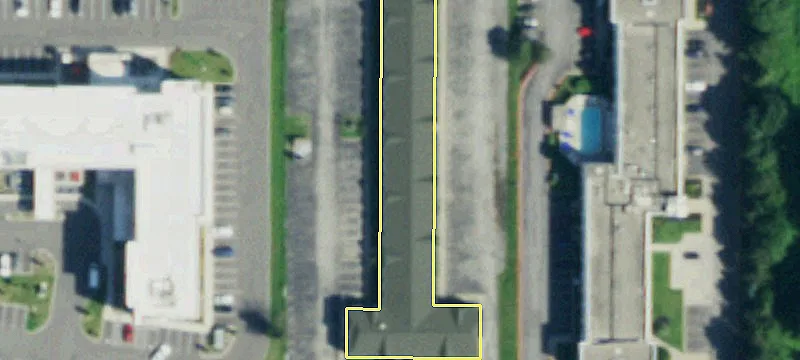 50 Freeman Rd