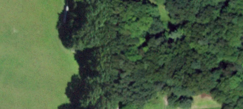 237 State Farm Rd