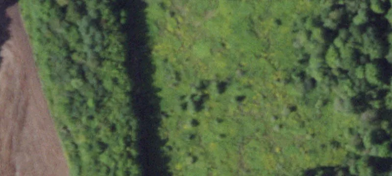 2205 Crumb Hl Rd