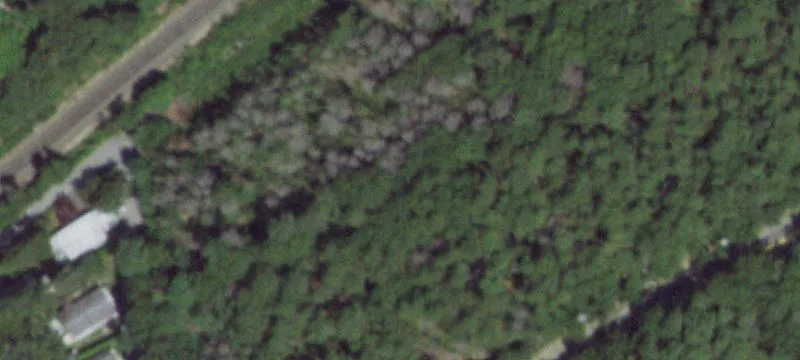 48 Old Country Rd