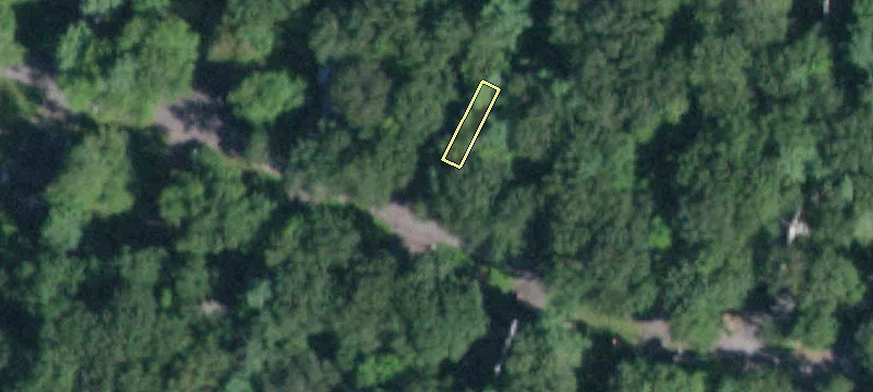130 Timberwall Rd