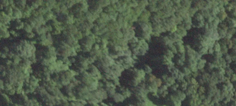 1387 Rte 55