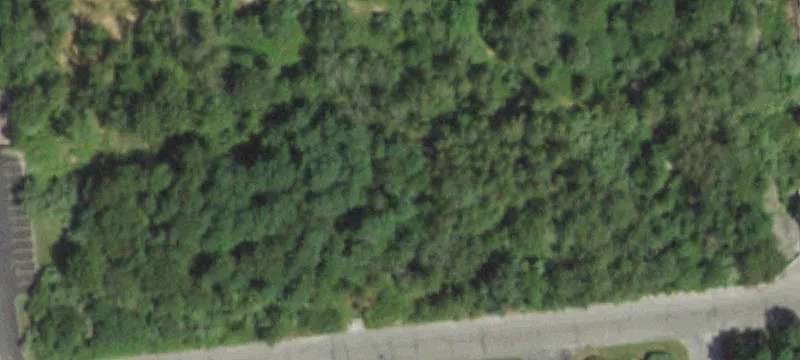 585 Bicycle Path
