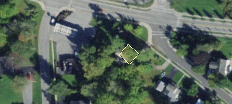42 Big Tree St