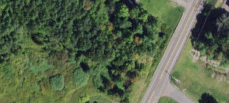 1349 Campville Rd