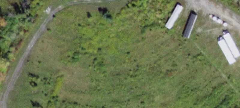 1968 Dryden Rd
