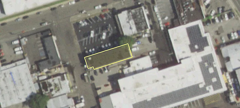 10 Tulip Pl