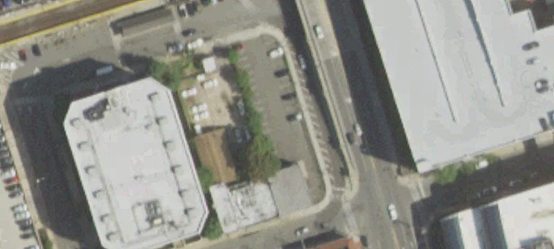 55 Mineola Blvd